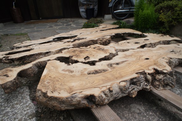 DSC02082-590x391.jpg